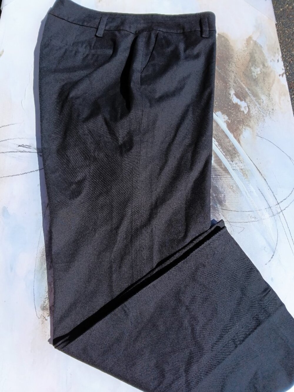 Women's dress pants, by Ann Taylor